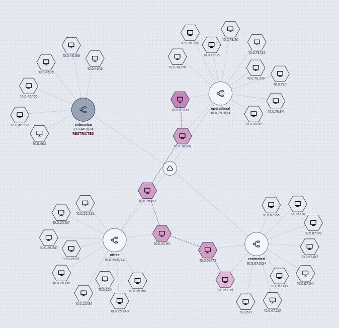 SIEGE generated dynamic network used for training